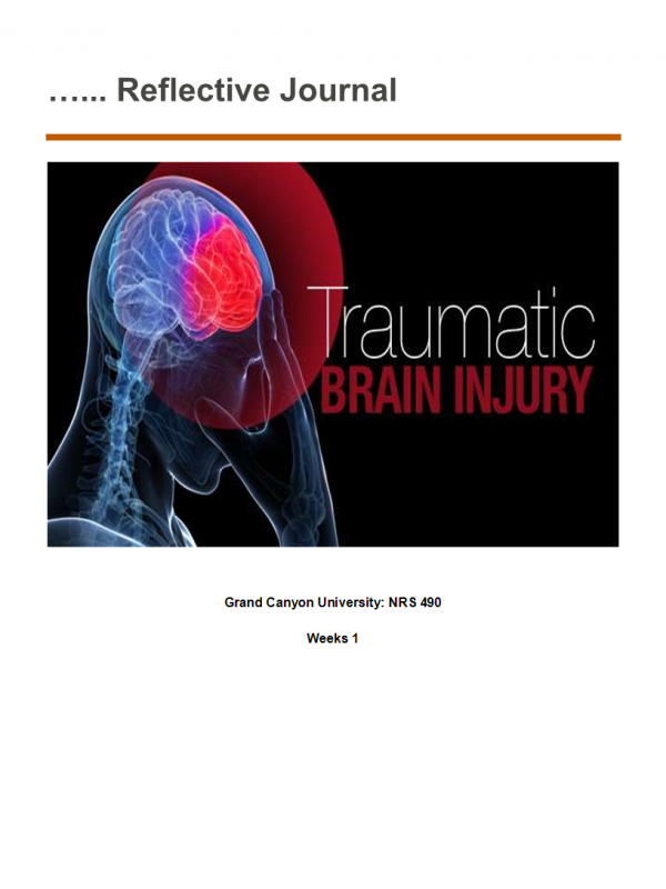 NRS 490 Topic 1 Professional Capstone and Practicum Reflective Journal