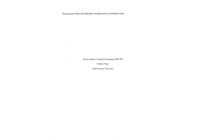 NRS 490 Topic 10 Assignment; Practice Hours Documentation