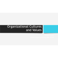 NRS 451VN Topic 4 Organizational Culture & Value Presentation