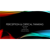 PHI 105 Topic 2 Assignment; Perception PowerPoint Presentation (8 Slides): Spring 2020