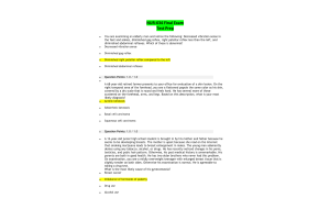 xNUR 634 Final Exam