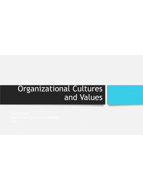 NRS 451VN Topic 4 Assignment; Organizational Culture and Values ...
