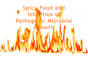 BIOL202 Week 7 Project; Spicy Food and Inhibition of Pathogenic Microbial Growth