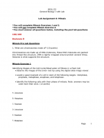 BIOL133 Week 9 Lab Assignment 6 - Mitosis